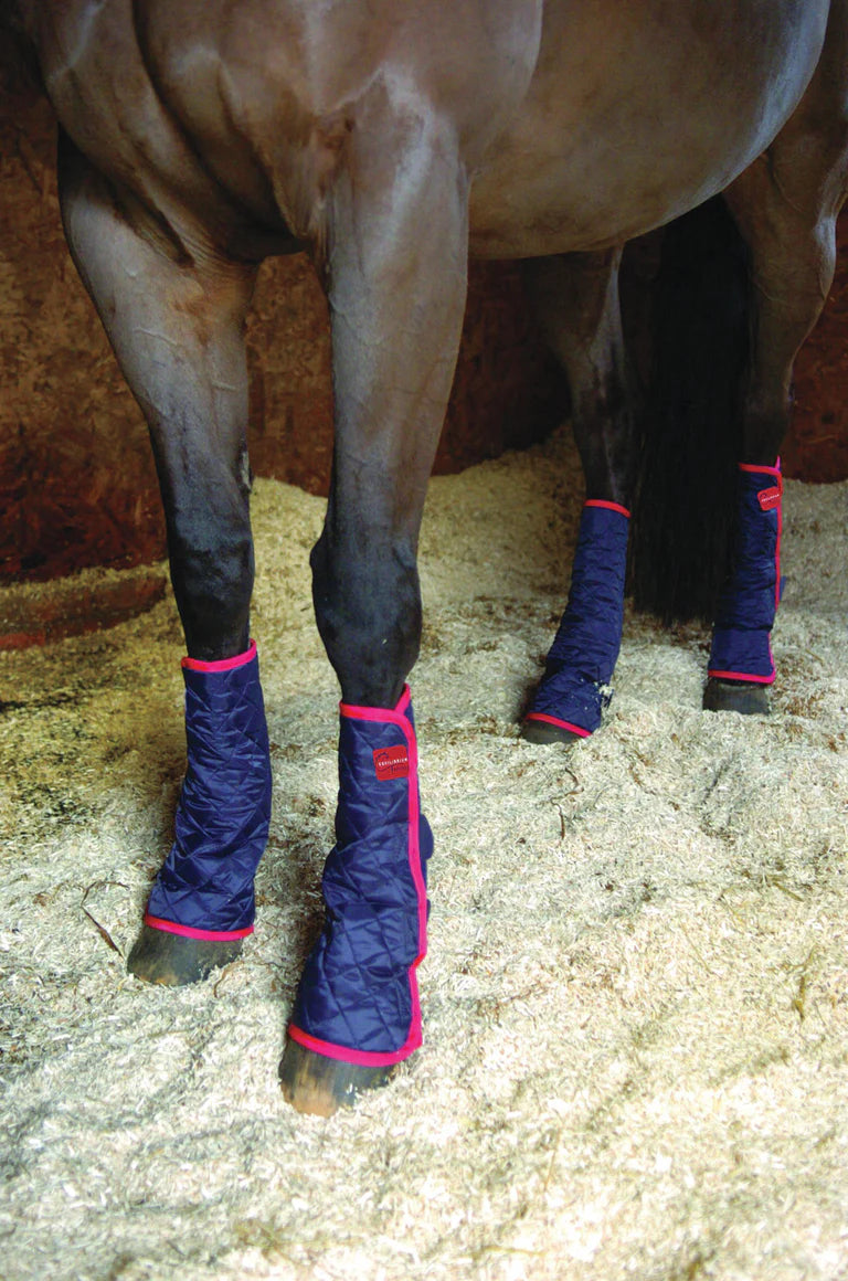 Equilibrium Therapy Magnetic Chaps