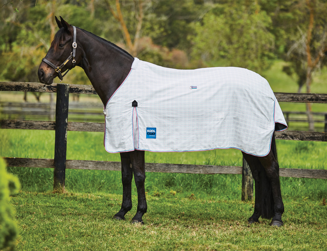 Kool Coat Cotton Standard Neck II