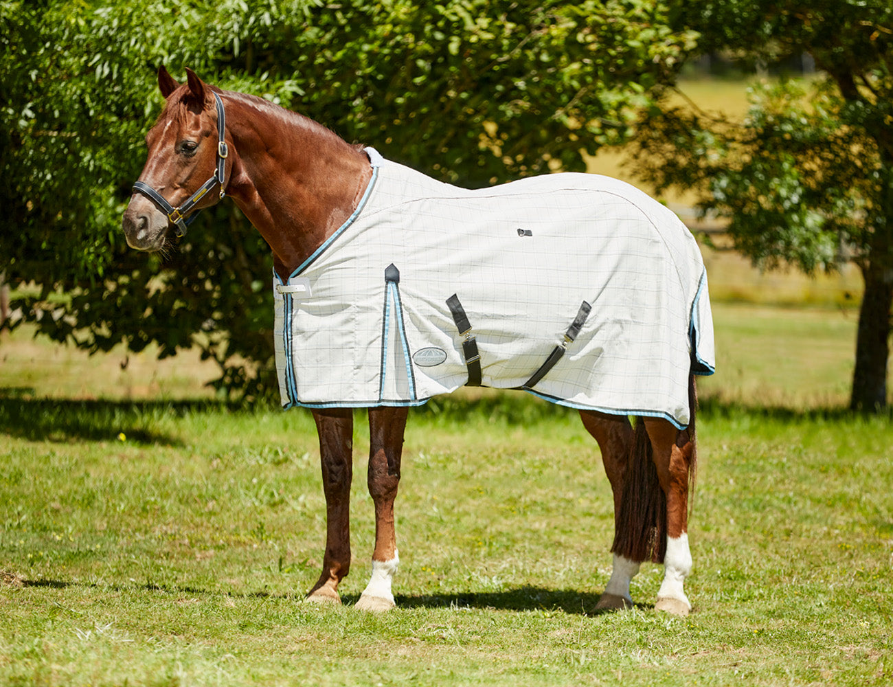 Weatherbeeta Summer Sheet Cotton Rug only