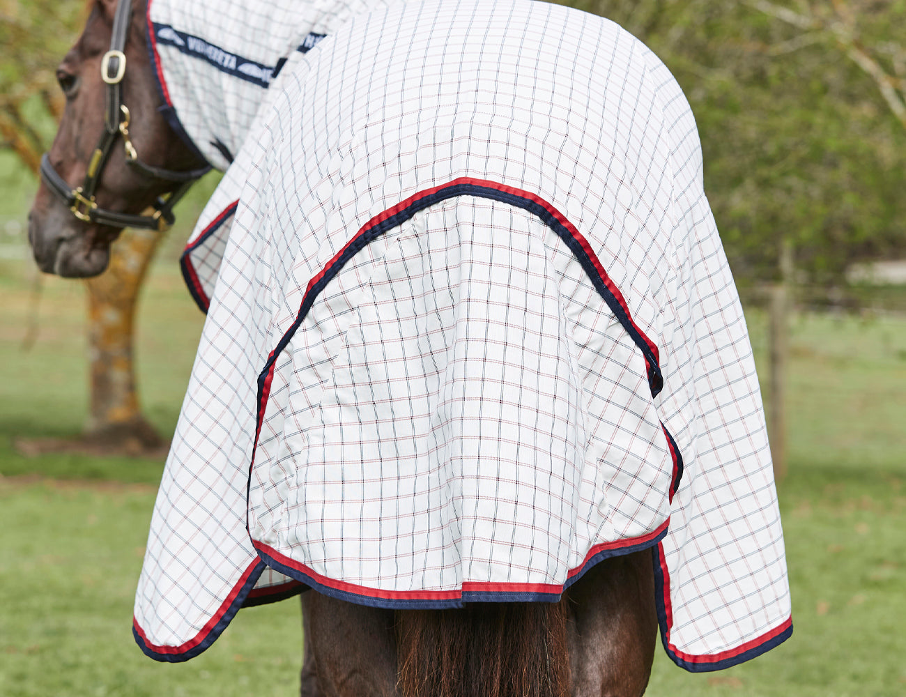 Weatherbeeta Summer Sheet Lite Detach-A-Neck w Velcro