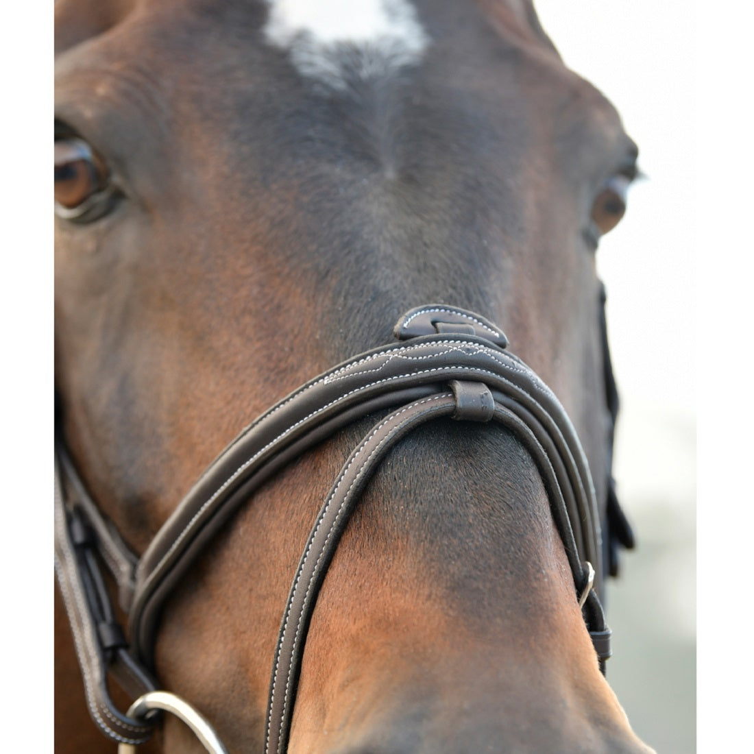 Collegiate Comfitec Opulux Fancy Stitch Padded Hanoverian Bridle