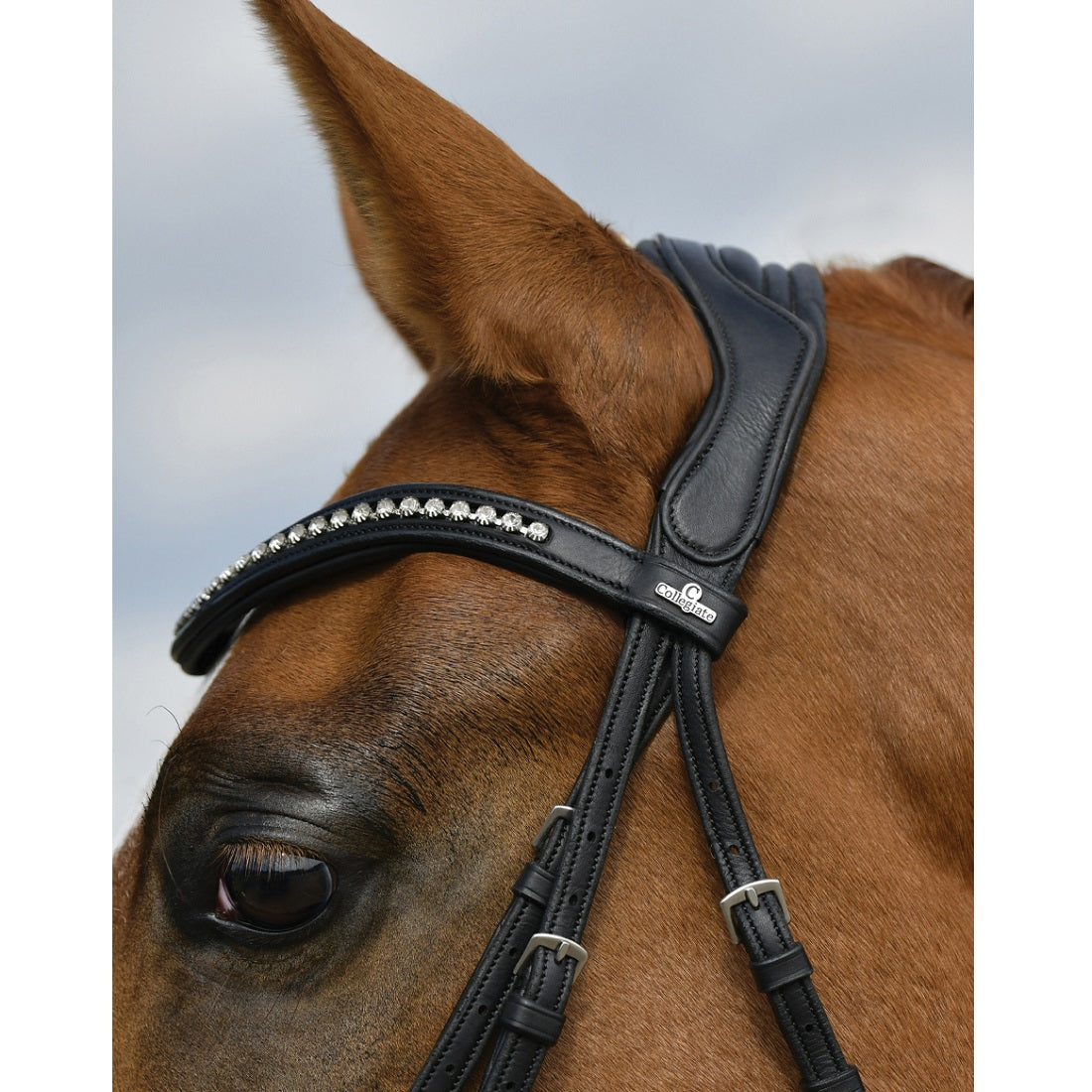 Collegiate Comfitec Opulux Padded Dressage Bridle