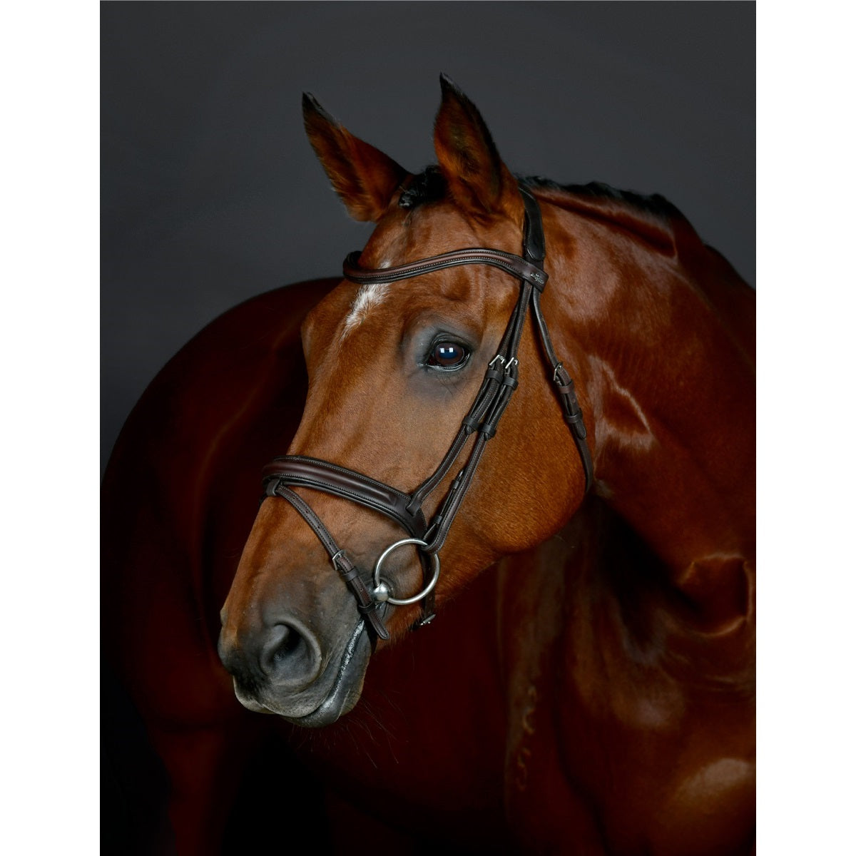 Collegiate Comfitec Opulux Plain Padded Hanoverian Flash Bridle