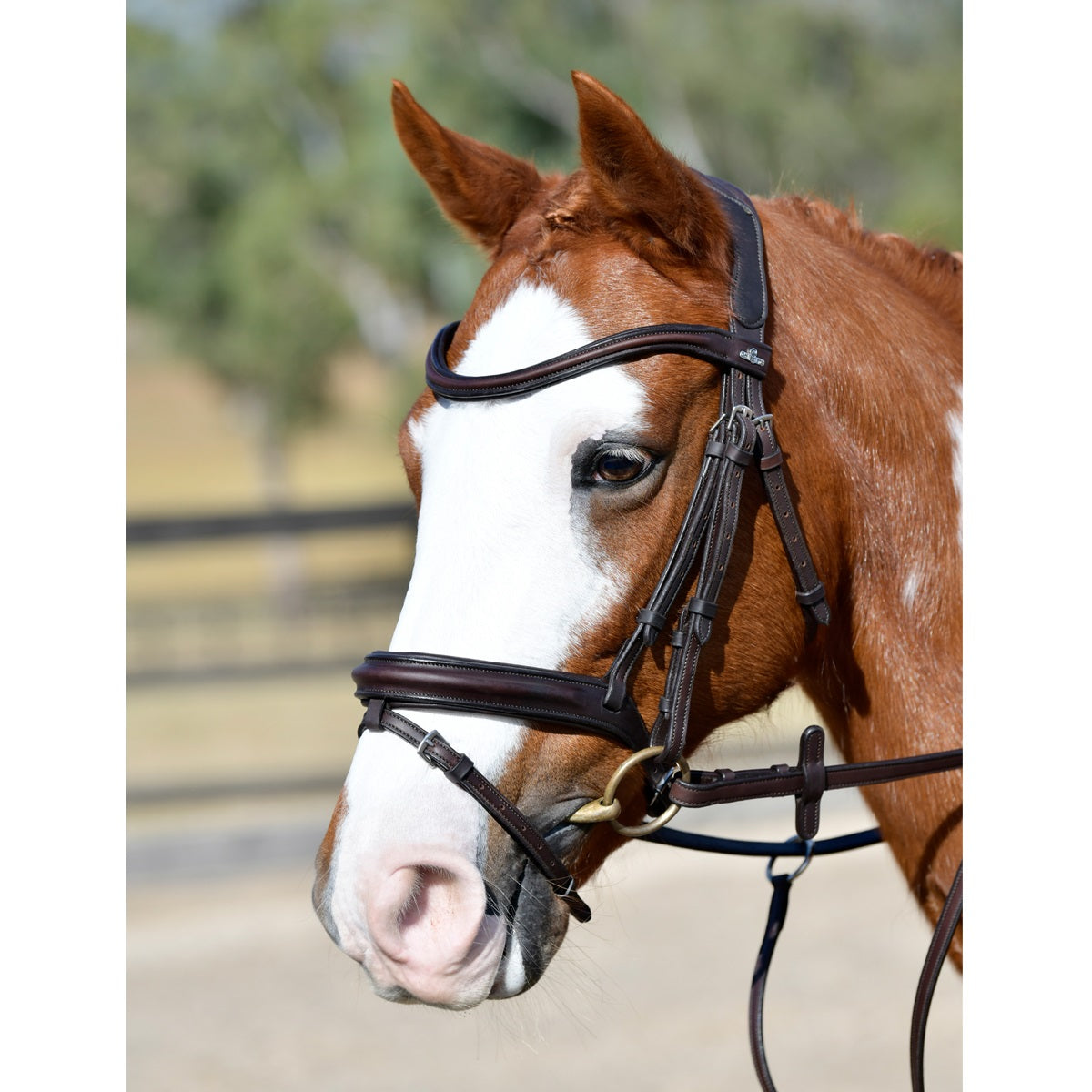 Collegiate Comfitec Opulux Plain Padded Hanoverian Flash Bridle
