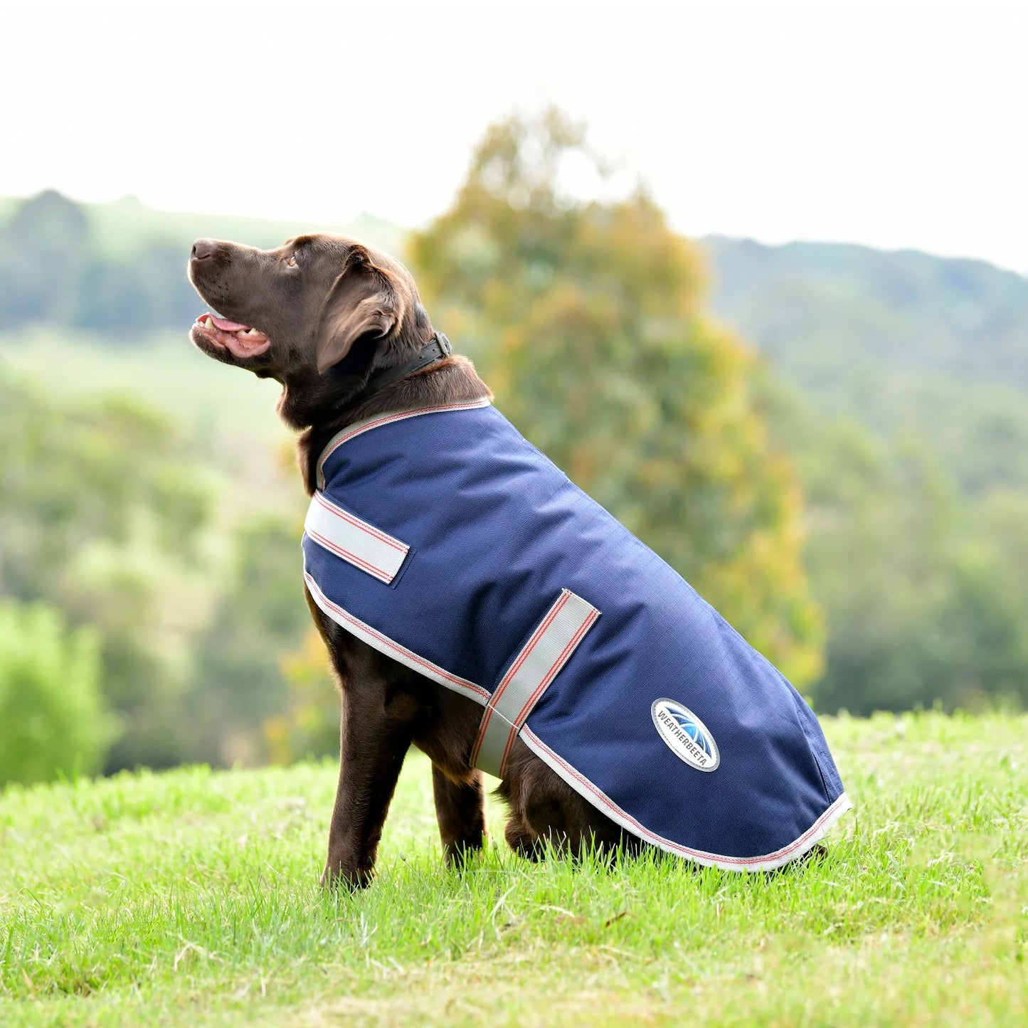 Weatherbeeta Comfitec Essential Plus Parka Dog Coat