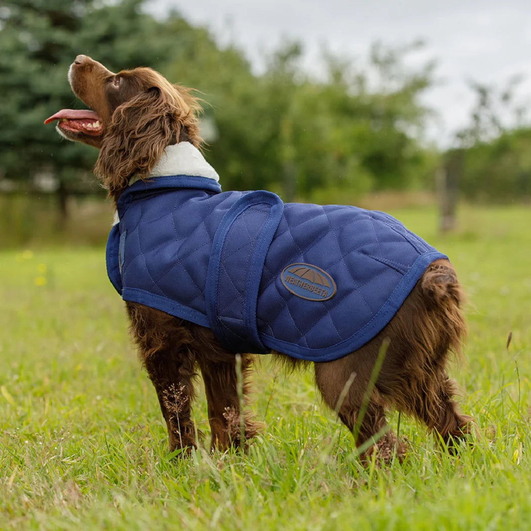Weatherbeeta Comfitec Deluxe Diamond Quilt Dog Coat