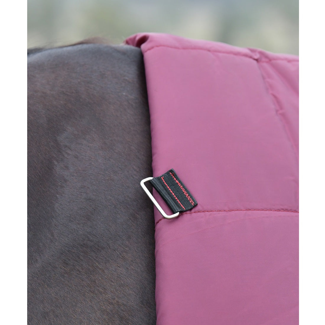 Weatherbeeta Comfitec Essential Turnout Combo 0G