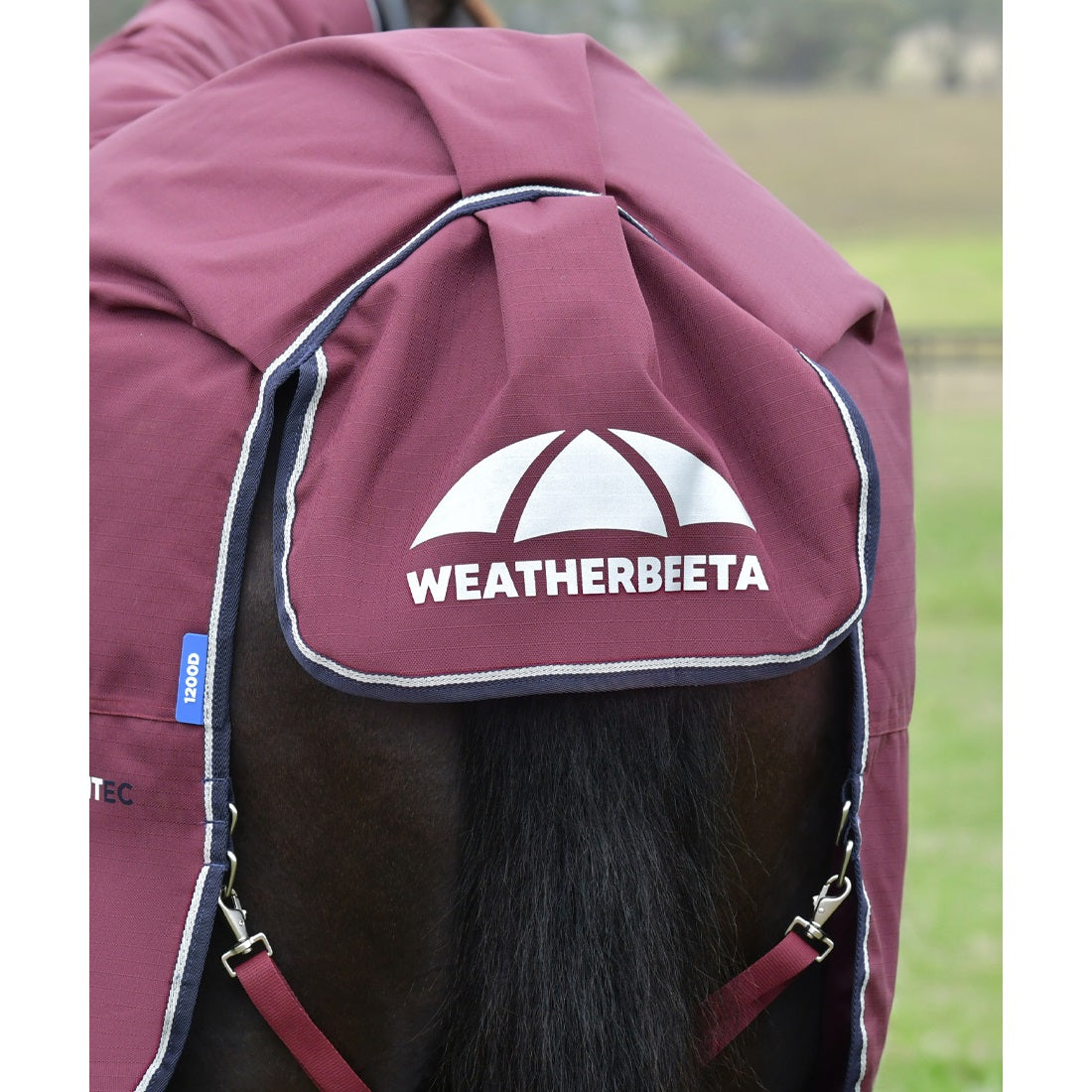 Weatherbeeta Comfitec Essential Turnout Combo 0G