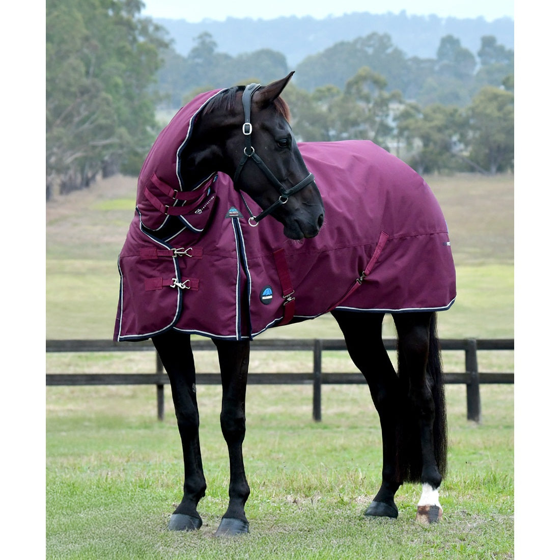 Weatherbeeta Comfitec Essential Turnout Combo 0G