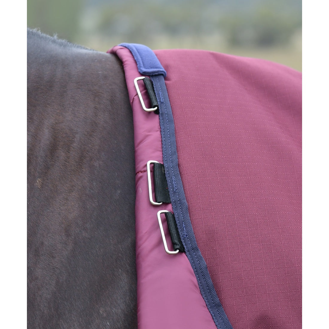 Weatherbeeta Comfitec Essential Turnout 50g Standard Neck
