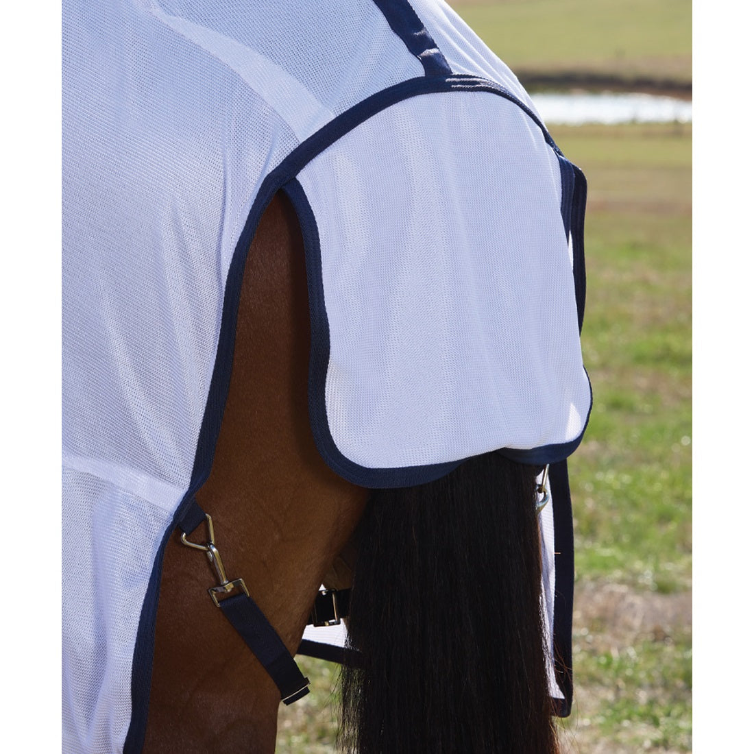 Saxon Air Mesh Fly Sheet Combo