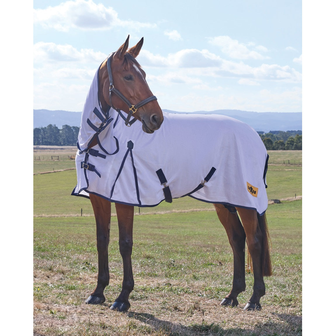 Saxon Air Mesh Fly Sheet Combo