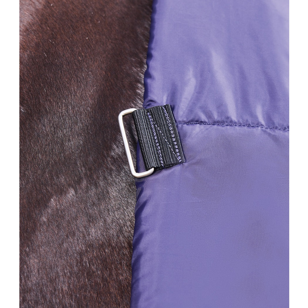 Weatherbeeta Comfitec Plus Dynamic Turnout Combo 100G