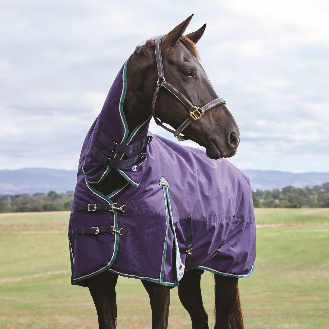 Weatherbeeta Comfitec Plus Dynamic Turnout Combo 100G