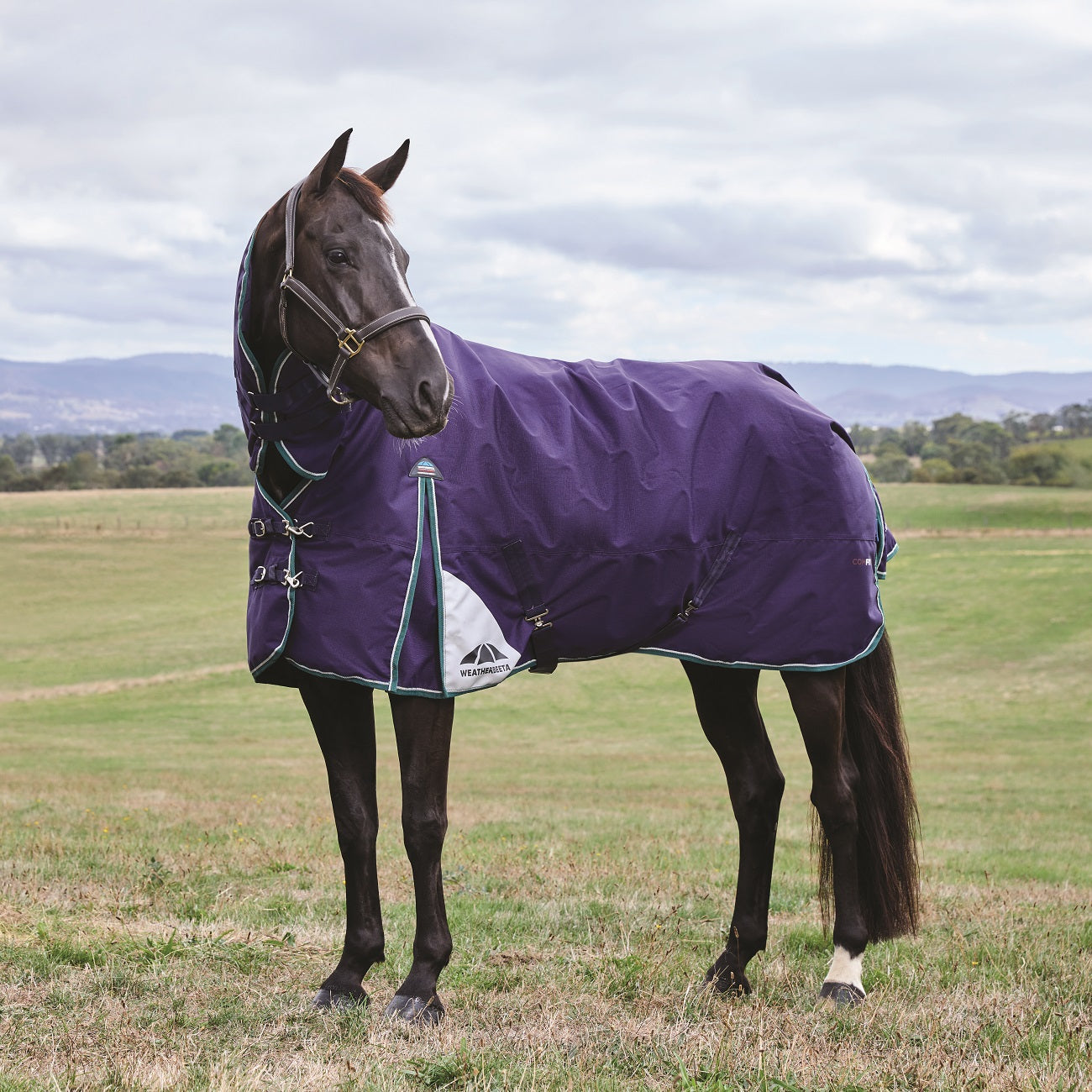 Weatherbeeta Comfitec Plus Dynamic Turnout Combo 100G