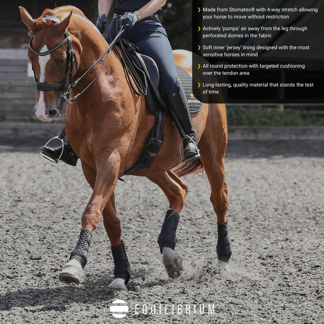 Equilibrium Stretch & Flex Training Wraps