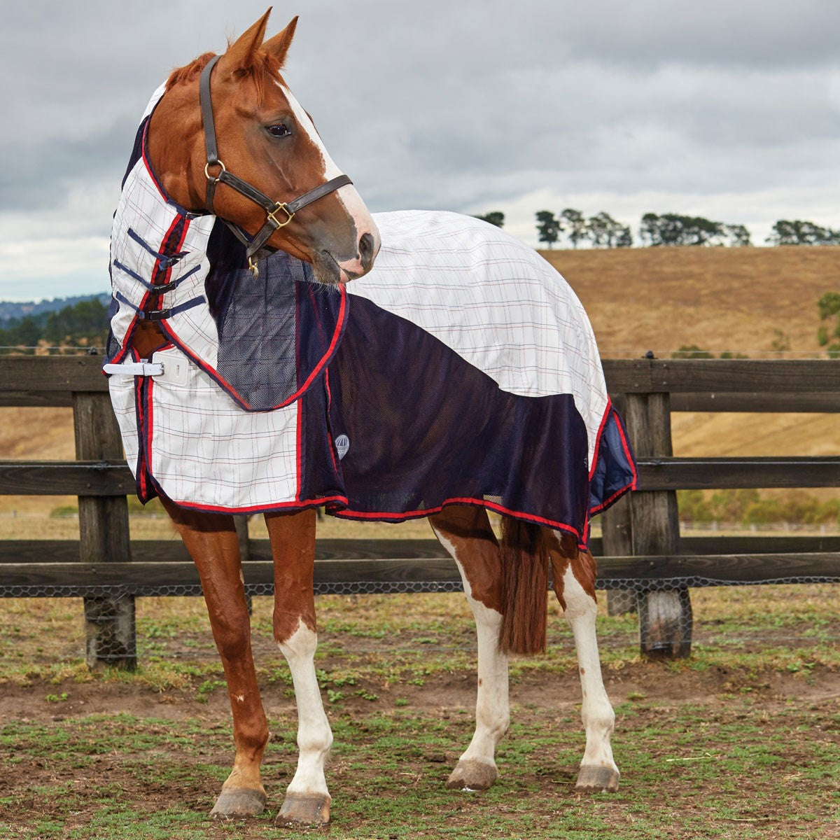 WEATHERBEETA BREEZE SUMMER SHEET COMBO 4'3