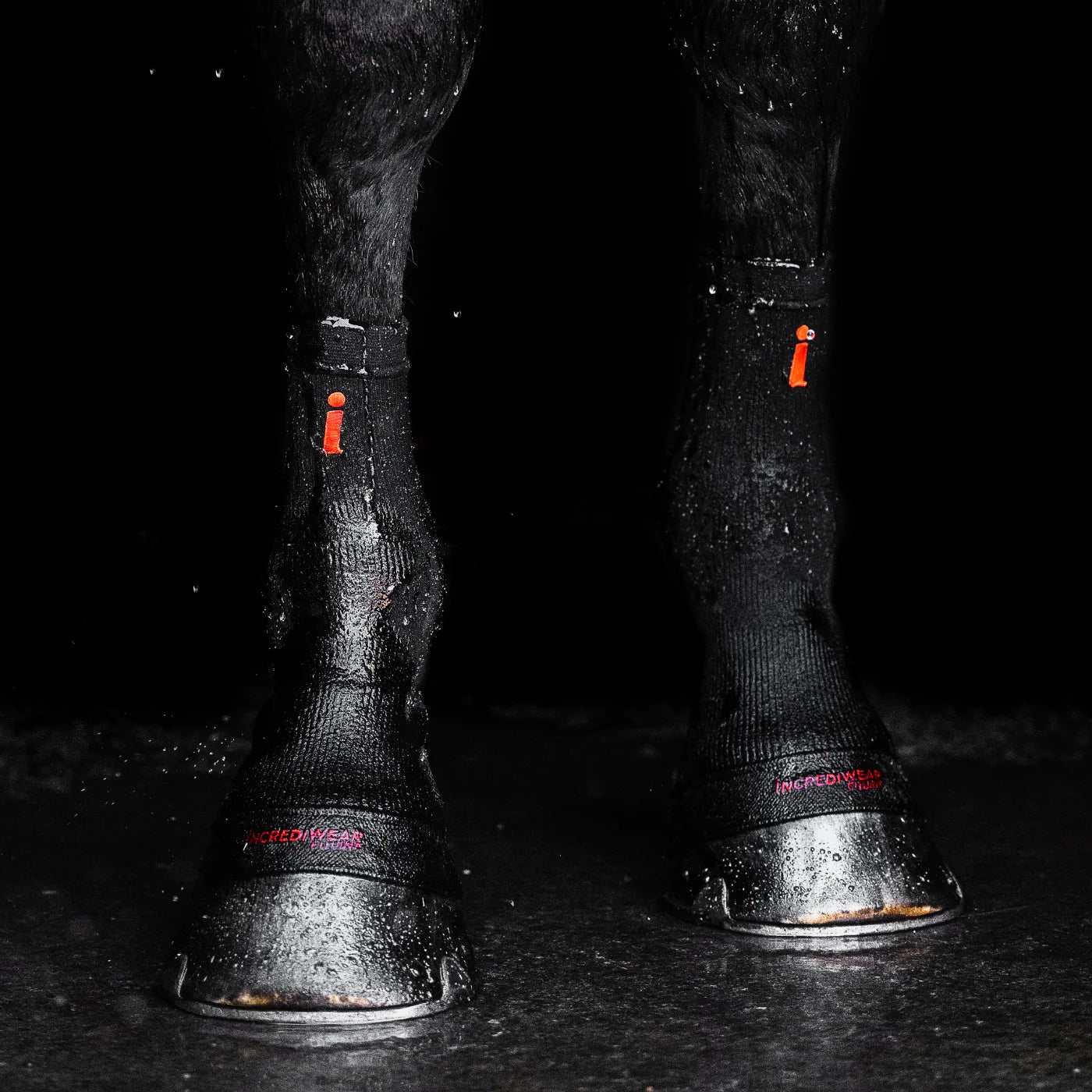 Incrediwear Equine Hoof Sock Set Black