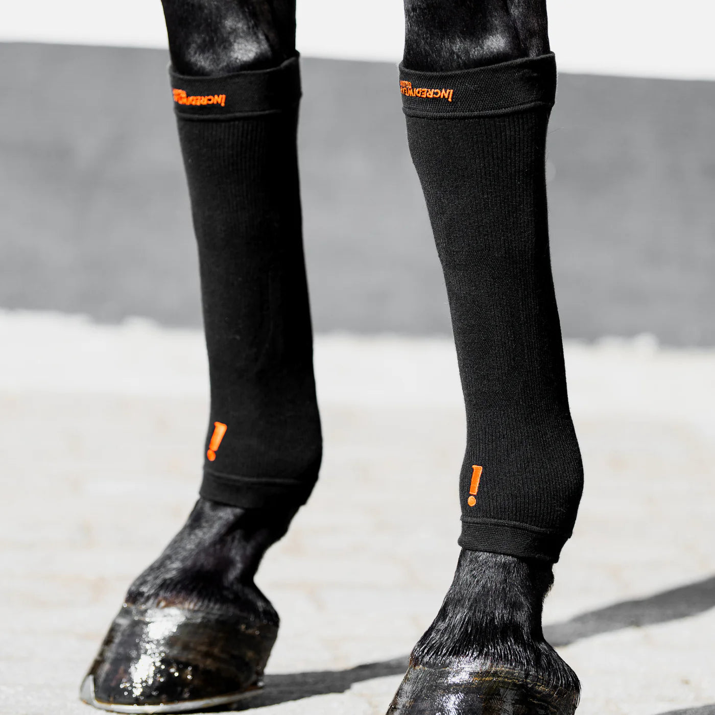 Incrediwear Equine Hoof Sock Set Black