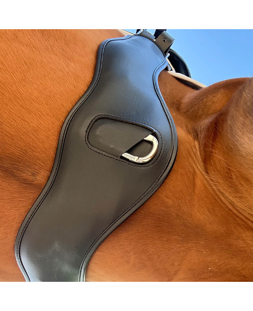 Collegiate Anatomic Girth