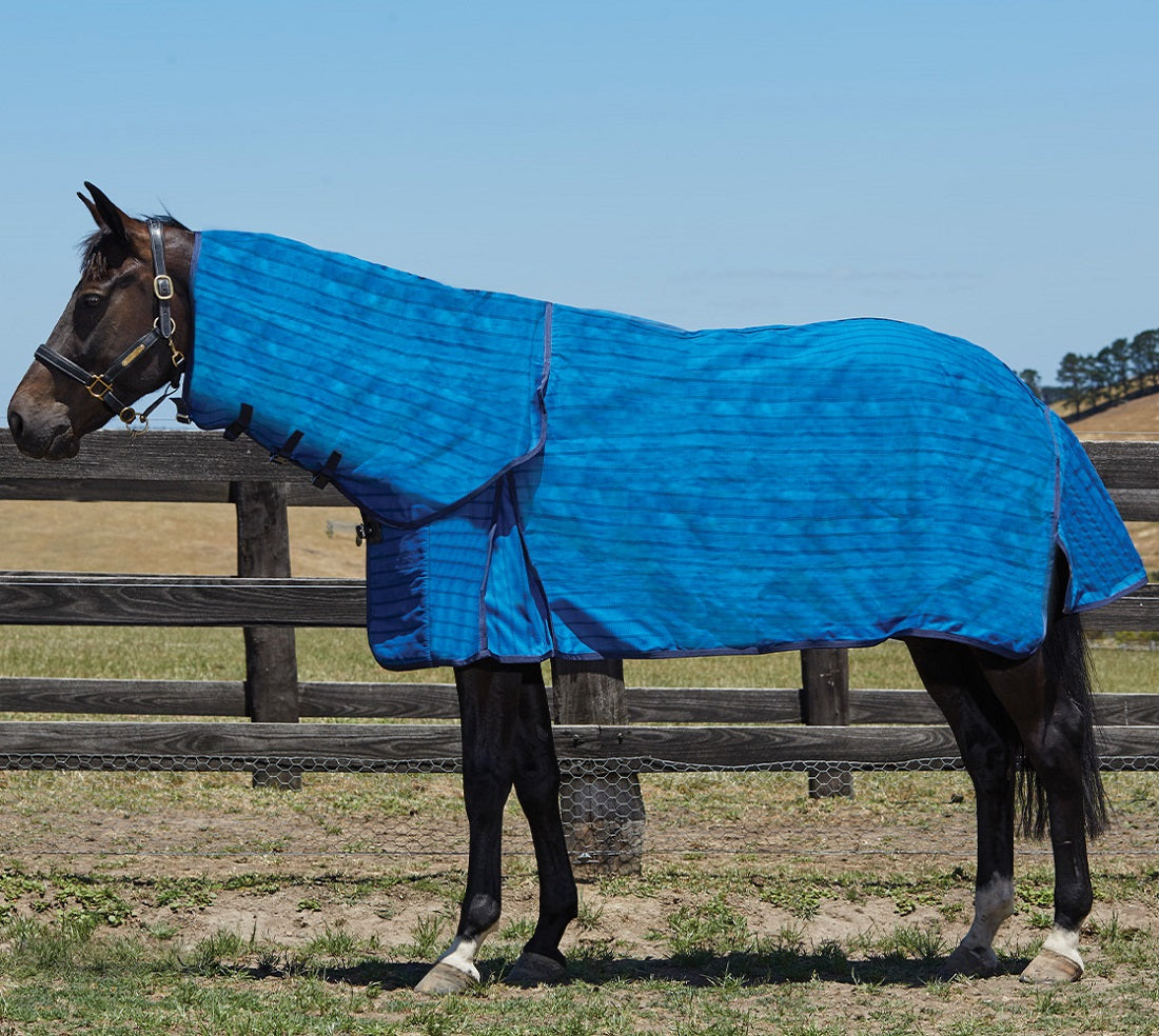 Weatherbeeta Unlined Canvas Combo