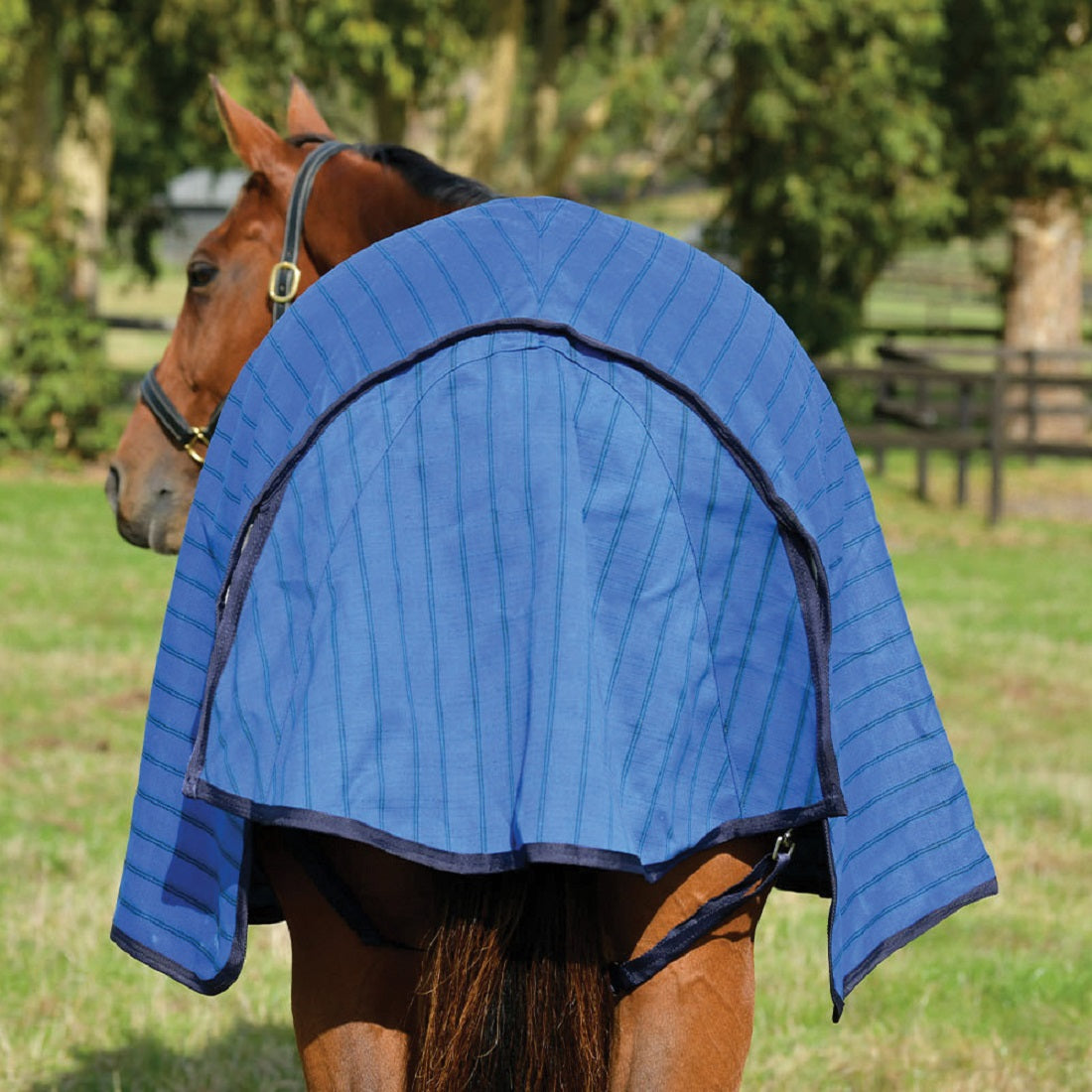 Weatherbeeta Unlined Canvas Standard Neck