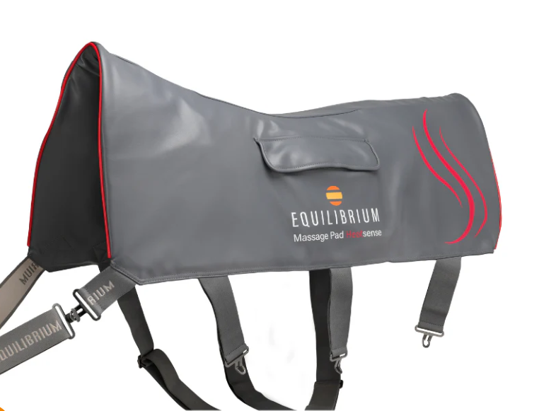 Equilibrium "Heat Sense" Massage Pad