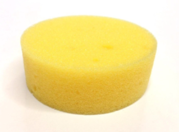 Small Cleaning Sponge