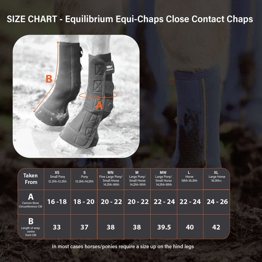 Equilibrium Close Contact Equi-Chaps