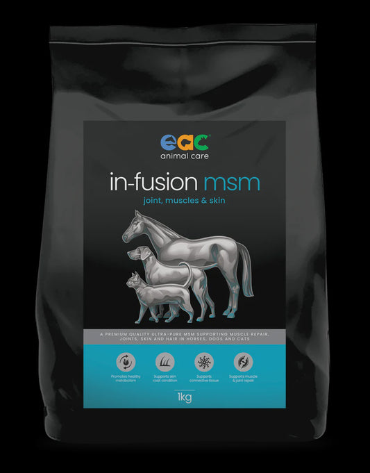 in-fusion msm - Ultra Pure Methylsulfonylmethane Joint Supplement