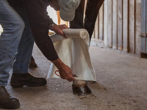 WoolGard WoolGee Wrap