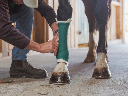 WoolGard WoolGee Wrap