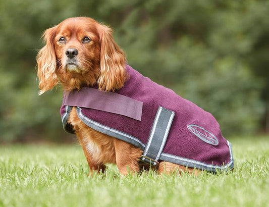 WB Fleece Dog Coat Maroon/Grey