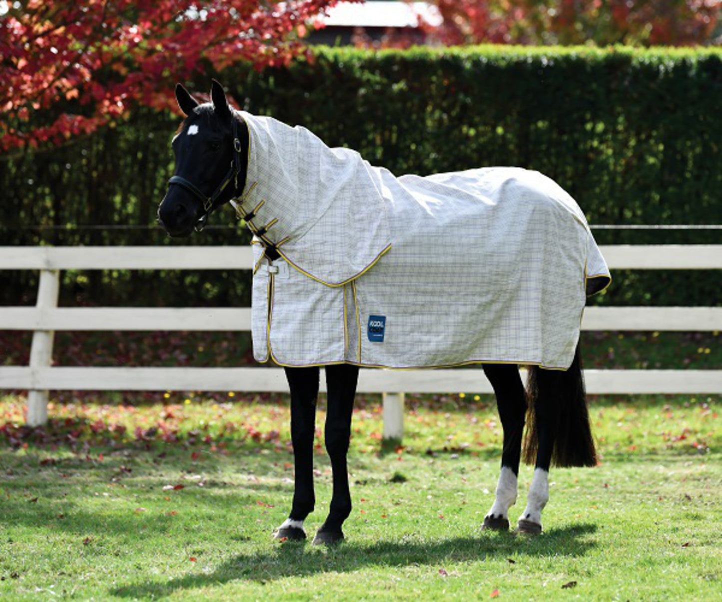 KOOL COAT COTTON COMBO NECK II