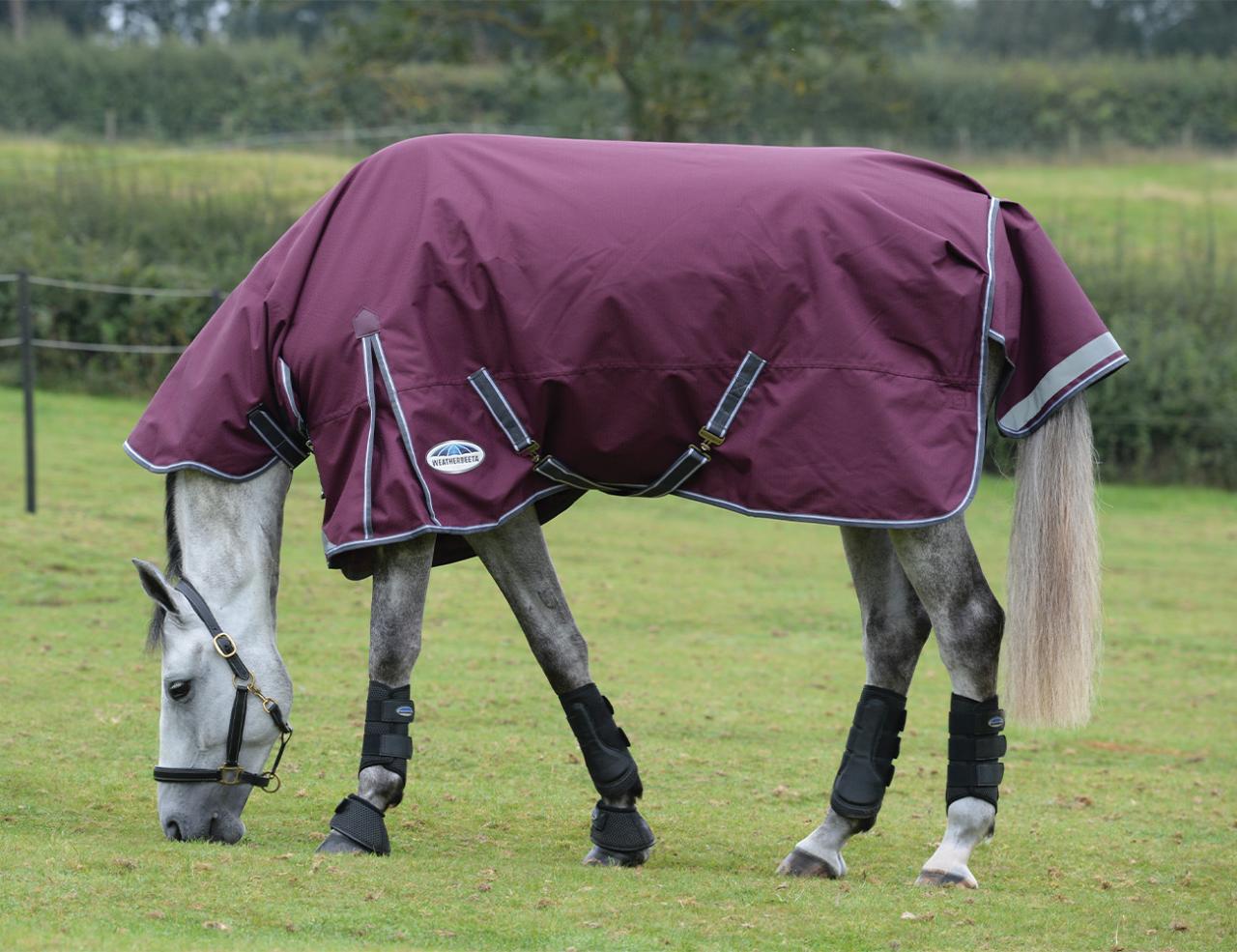 WEATHERBEETA COMFITEC PLUS DYNAMIC II COMBO MEDIUM/LITE (100g)