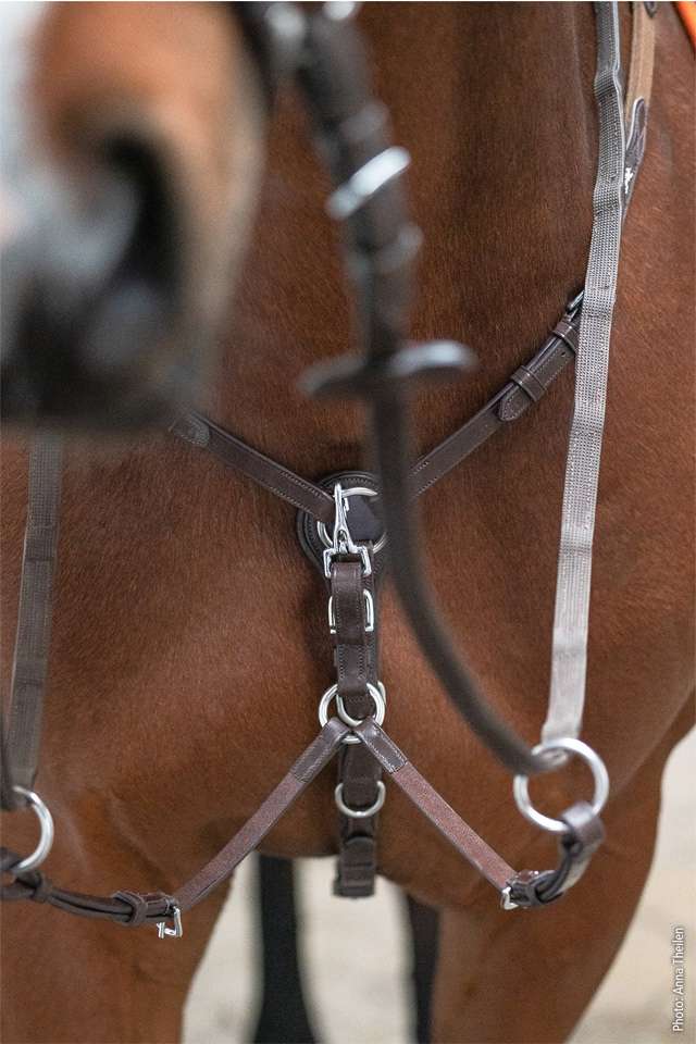 Schockemohle Wellington Select Breastplate