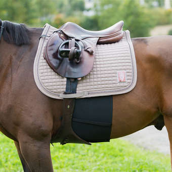 HZ Elastic Belly Guard