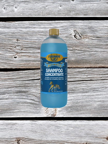 Equinade Show Silk Shampoo