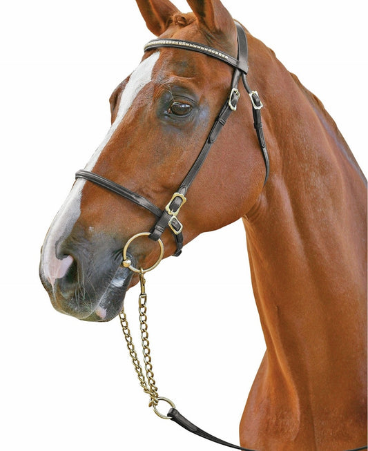 Collegiate Clincher Browband  In Hand Bridle