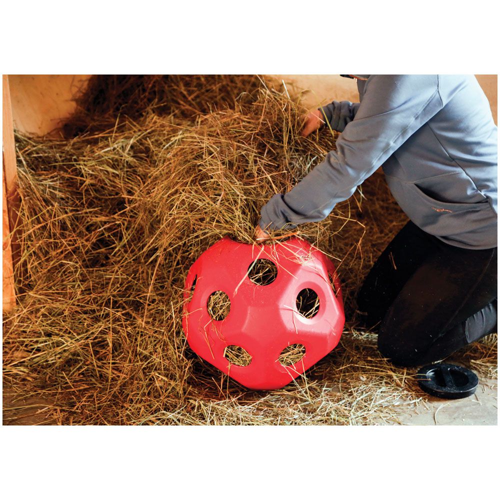 Horse toy hayball