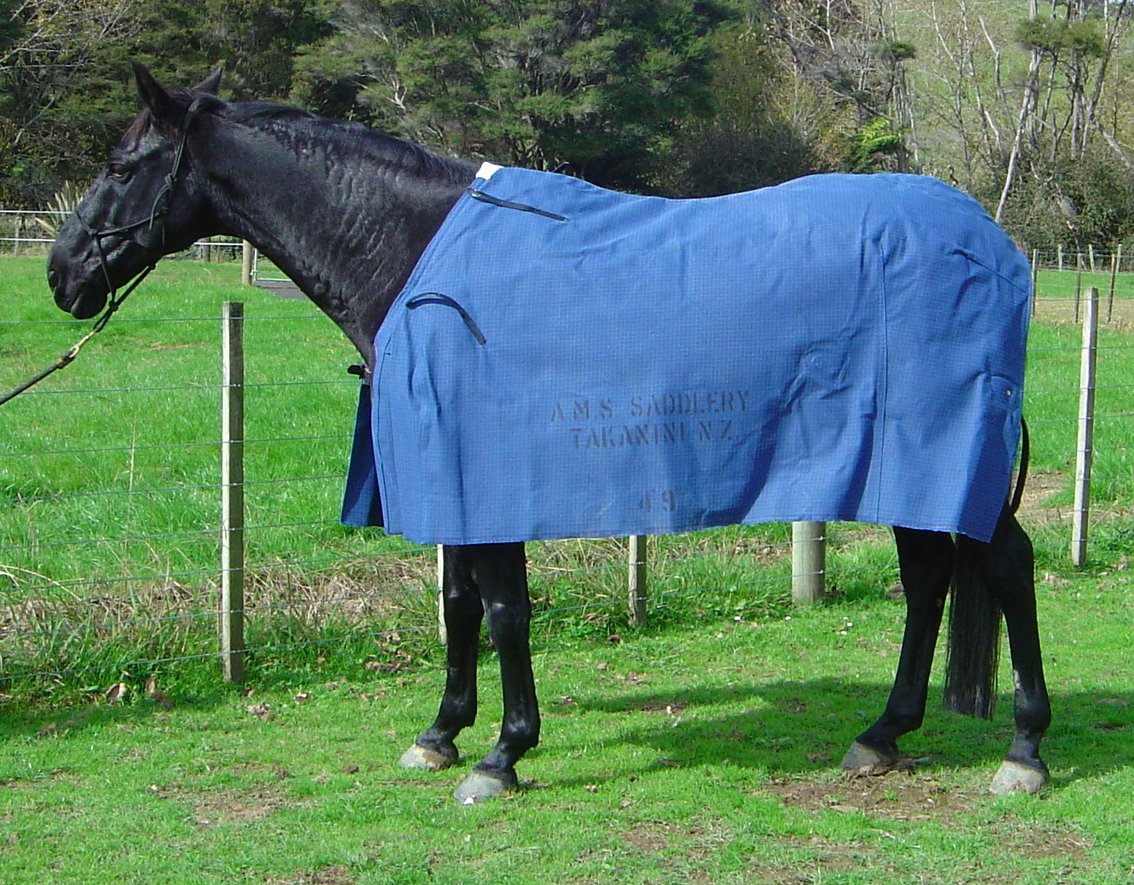 AMS Thermal Lined Deluxe 18oz Canvas Rug-Made to order