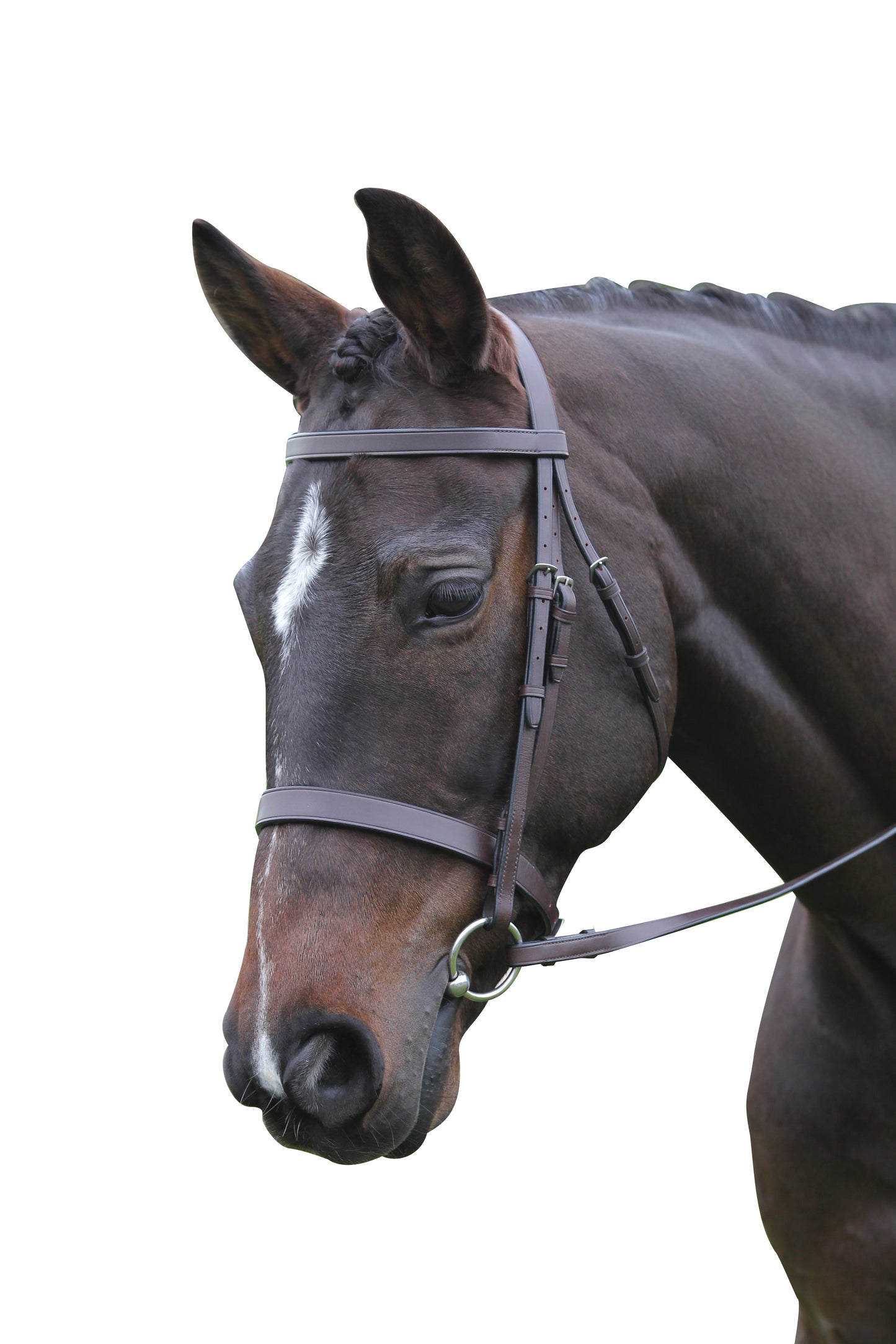 Kincade Flat Cavesson Bridle