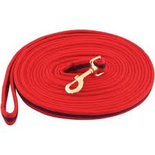 Kincade Lunge Rein 2 Tone Padded