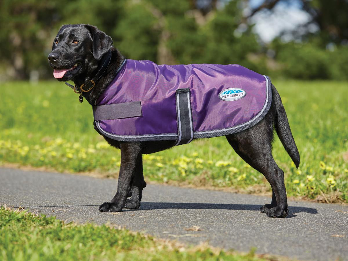 WEATHERBEETA WINDBREAKER 420D DOG COAT
