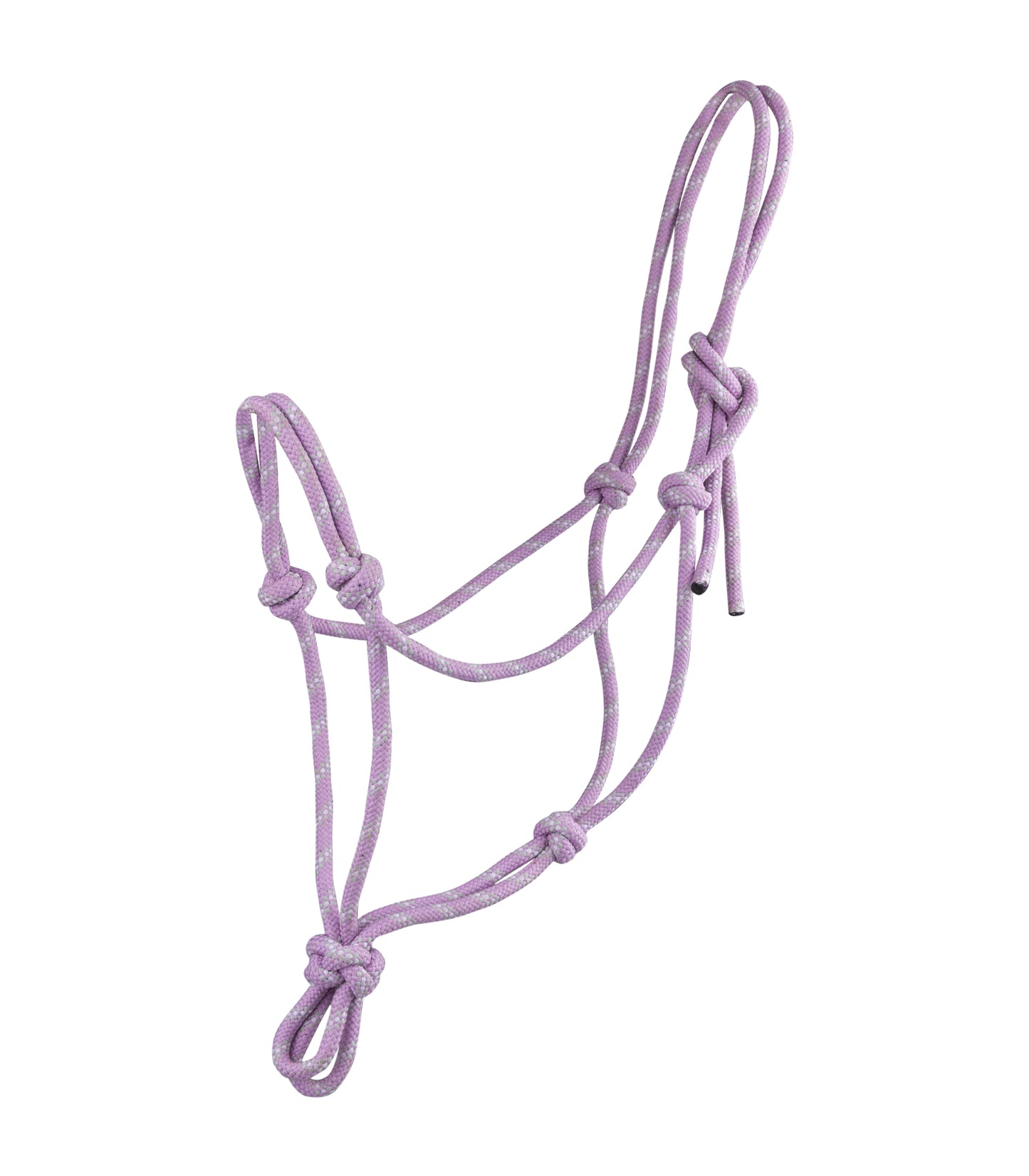 Knot Halter