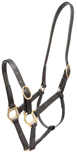 Synthetic PN Headstall/Halter