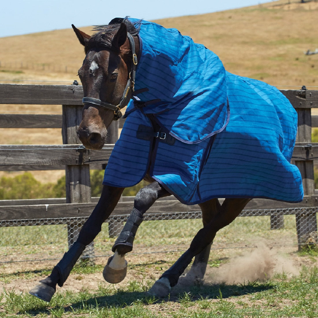 Weatherbeeta Unlined Canvas Combo