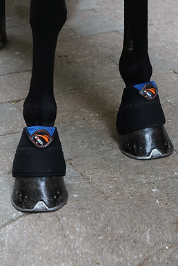 Equick eArtic Cooling Bell Boots