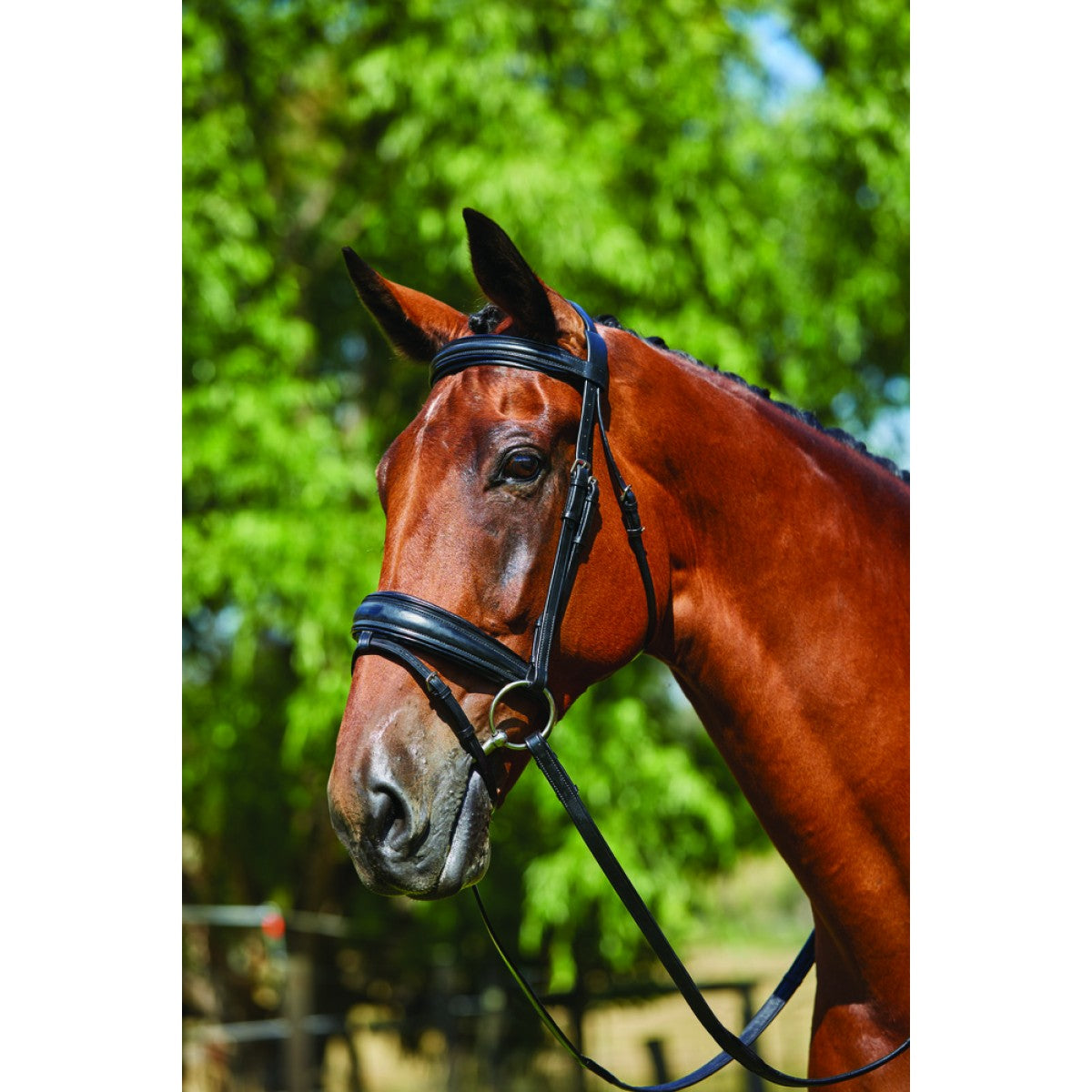 Kincade Patent Insert Mono Crown Bridle