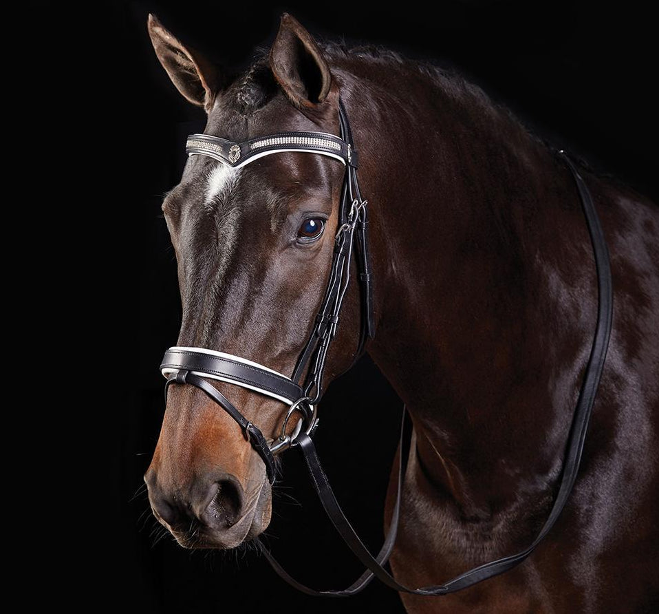 COLLEGIATE V SHAPED DIAMANTE BRIDLE